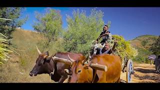 Download Lagu Lain'J - Gasy Milay   ( Clip Officiel ) MP3 Download Lagu Lain'J - Gasy Milay   ( Clip Officiel ) MP3