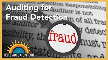 The Sample - Auditing for Fraud Detection
