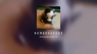 S C R E E E E E E E E
