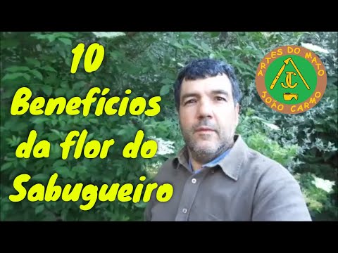 Vídeo: As flores de sabugueiro são comestíveis?