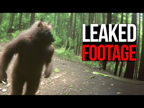 Unbelievable Trail Cam Captures That Shocked the WORLD