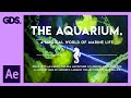 Adobe After Effects Color Enhancement Quiz