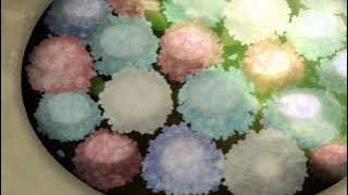 Download lagu I love The Ost of Days with my stepsister