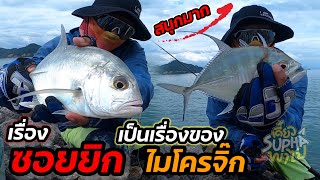 เมื่อสุภาลองเคาะไมโครจิ๊ก(Microjig)คนเดียว | เดี๋ยวSuphaพาไป