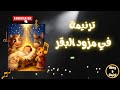 ترنيمة في مزود البقر 