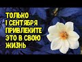 В энергетически сильный день 1 сентября привлеките это в свою жизнь | Эзотерика для Тебя