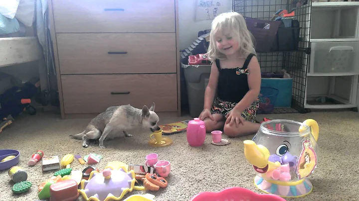 Dog having tea with little girl