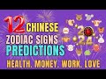 Is Your Luck In? Prediction For All 12 Chinese Zodiac Signs 2024 For Health, Money, Work, And Love