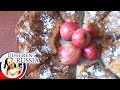 How To Make Apple Pie! Easy & Tasty Recipe of Russian Charlotte Cake