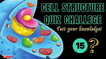 Cell Structure Quiz | Can you answer all 15 Cell Questions?