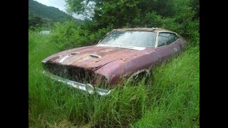 XA XB XC Coupes galore, barn find, shed find falcon coupes. Mad max, GT falcon, Hardtops muscle cars
