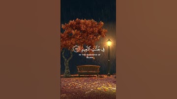 و السابقون السابقون 🌿تلاوة خاشعة 🌿للقارئ شريف مصطفى 🌿