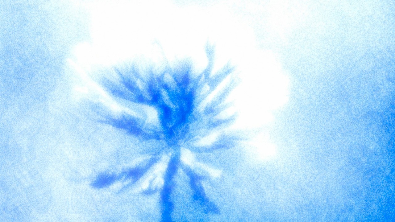 TU$y - Don’t Fall (Official Audio)