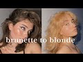 BLEACHING MY HAIR AT HOME // brunette to blonde