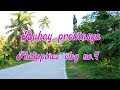 Philippines vlog 4 | Buhay sa probinsya + foodtrip