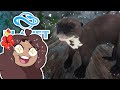 A Pirate Bay Full of GIANT RIVER OTTERS?! 🐧 Planet Zoo: Ice Ice Outpost 2! • #16