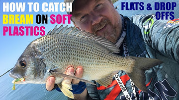 How to Catch Bream on Soft Plastics - Flats & Drop Offs