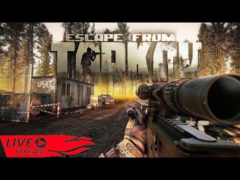 видео: Стрим | Путь с начала в Таркове  #tarkov #shorts