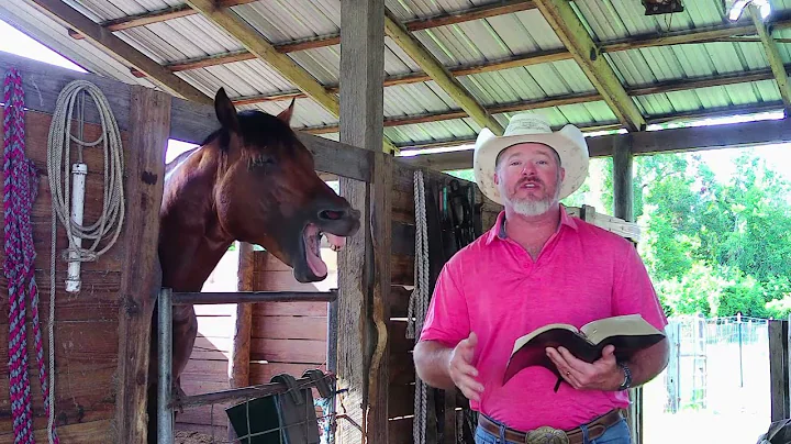 1 Thessalonians 3 | Barnyard Bible Study | Daily Bible Study