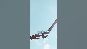 3 nguyên nhân khiến bê tông cột bị rỗ #xaynhatrongoi #xaydung #thicongnhapho #kinhnghiệmxâynhà