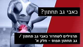 כאבי גב תחתון | גב תחתון תפוס | איך לשחרר גב תחתון תפוס | תרגילים לשחרור כאבי גב תחתון | עמיר שפר