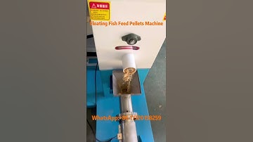 High-Quality Floating Fish Feed Pellets Machine - Perfect for Aquaculture🌊🐟#fishfeed #feedpellet