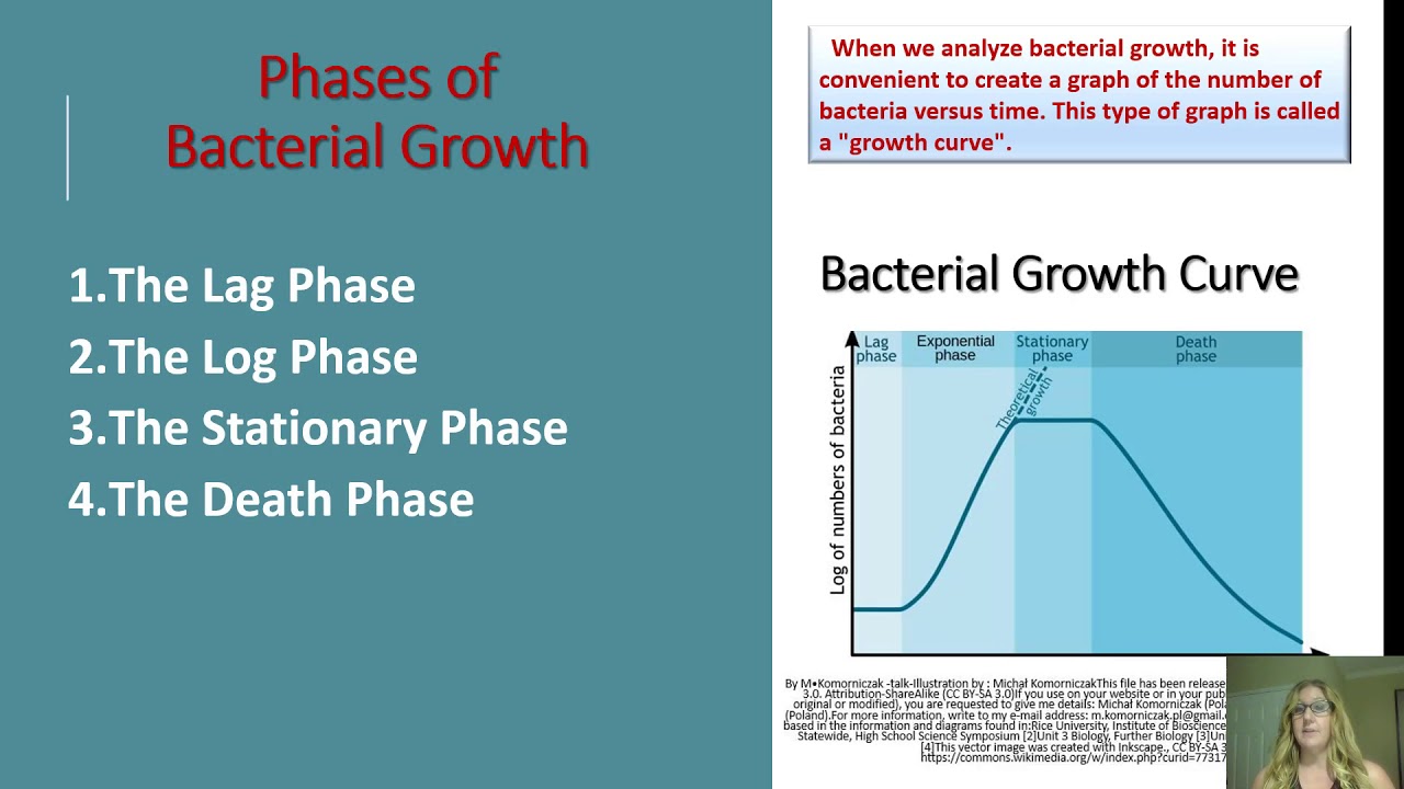 microbial nutrition and growth slideshare microbial nutrition definition