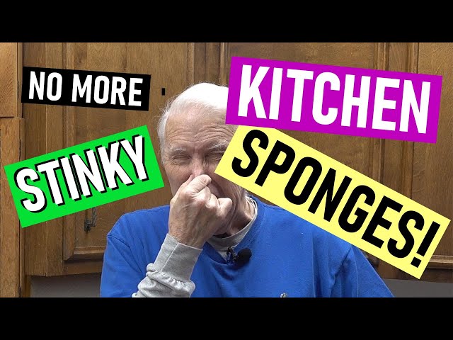 Sponges always stink after just a few cleans! What to do? : r