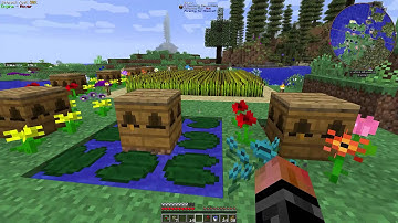 FTB Infinity: Evolved - EP14 - Bees! Part 4(Finally Automated)