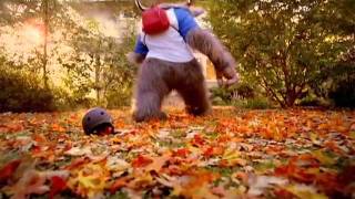 Chef Boyardee - Tame The Beast