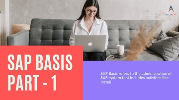 SAP Basis Lesson 1
