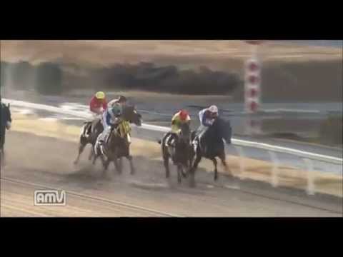 競馬レース結果 大師オープン 　ミラーコロ　2015年1月6日 川崎10R 【地方競馬探券】Kawasaki Racecourse 10R　Horse Racin