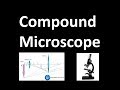 Compound Microscope Quiz