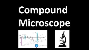 Compound Microscope | Use of Lenses in Optical Instruments | Light and Optics