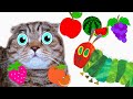 The Very Hungry Caterpillar and Rory The Cat learn names of fruits in English and paint together