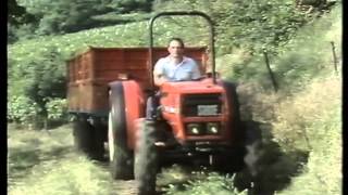 Special Tractors-  SAME Frutteto 60 and 75 (1987) - Italiano