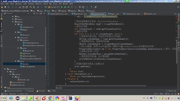 Mybatis 03 自定义Mybatis框架   015自定义Mybatis的编码 实现基于XML的查询所有操作