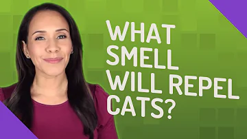 What smell will repel cats?