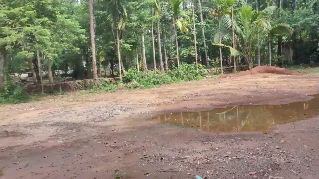 42cent commercial plot for sale Kozhikode balussery arapeedika (main