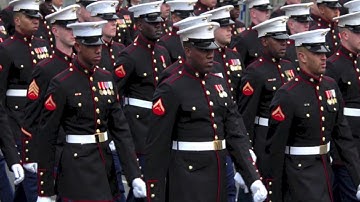 Suiting Warriors: The Beginning