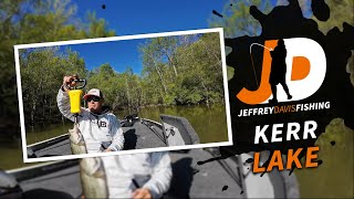 My Co-angler had a top 10! - Kerr Lake Bass Fishing during the spawn