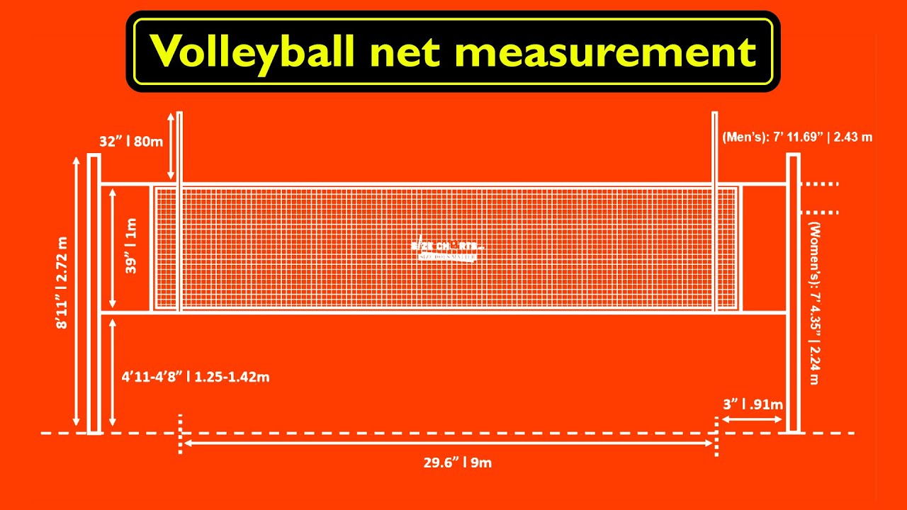 Volleyball Net Dimensions