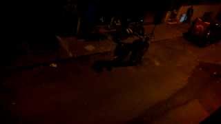 Çılgın Düğün D