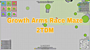 Arras.io Growth arms race maze 2TDM -wrench 