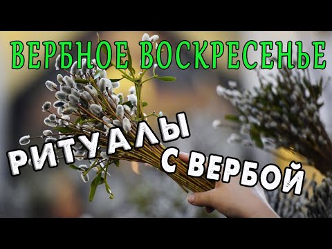 Вербное воскресенье - что нельзя делать, ритуалы с вербой / ГороскопПрогноз