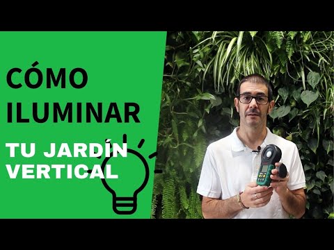 Video: Jardinería Vertical En París: Una Nueva Solución