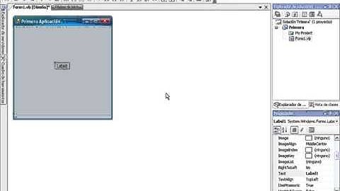 CURSO DE VISUAL BASIC .NET BASICO - VIDEO 02