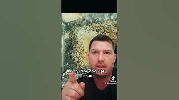 🤮🚨BLACK MOLD IN HVAC🤢🚨 #mold #blackmold #health #cough #allergies #healthrisks #davidschlum