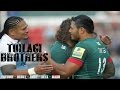 Tuilagi brothers  highlights