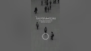 آيات بينات من الذكر الحكيم بصوت رائع وجميل ❤ #القرآن_الكريم #اكسبلور #المصحف #راحة_نفسية